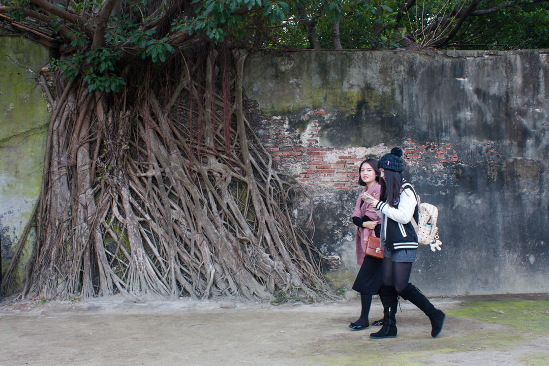 Anping Tree House
